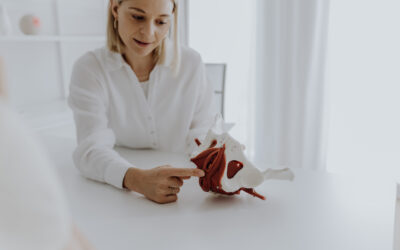 Blog 10 Beckenbodenschwäche: Ursachen, Symptome und was wirklich dagegen hilft